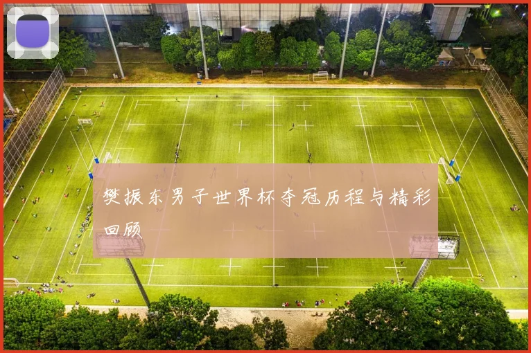 樊振东男子世界杯夺冠历程与精彩回顾