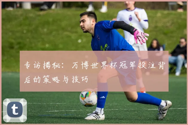 专访揭秘：万博世界杯冠军投注背后的策略与技巧
