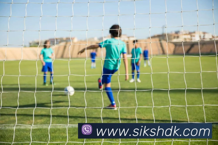 平台展示图